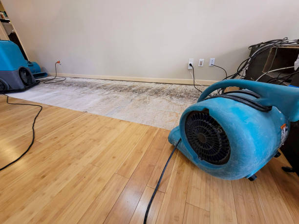 Reliable Basement Flood Cleanup contractor in Troy, ME by Hirex Water Damage
