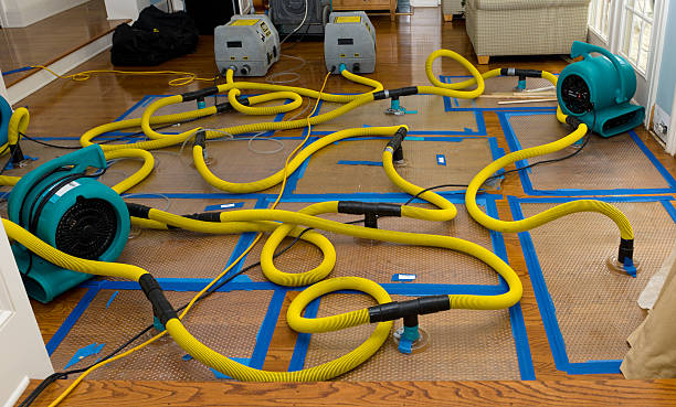 Professional Basement Flood Cleanup technician working in Troy, ME